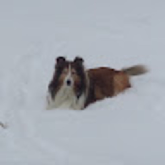 Meet your Posher, Matt - Picture 1 of 1